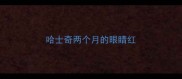 哈士奇两个月的眼睛红