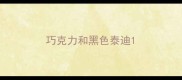 巧克力和黑色泰迪