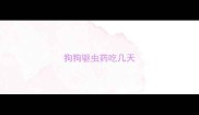 狗狗驱虫药吃几天