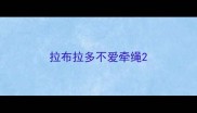 拉布拉多不爱牵绳