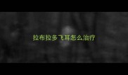拉布拉多飞耳怎么治疗