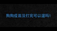 狗狗疫苗没打完可以遛吗