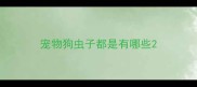 宠物狗虫子都是有哪些