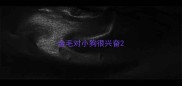 金毛对小狗很兴奋