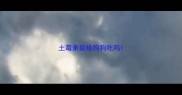 土霉素能给狗狗吃吗