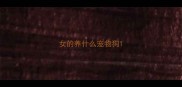 女的养什么宠物狗