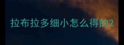 拉布拉多细小怎么得的