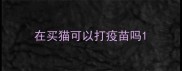 在买猫可以打疫苗吗