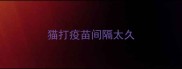 猫打疫苗间隔太久