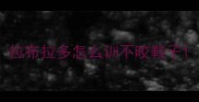 拉布拉多怎么训不咬鞋子