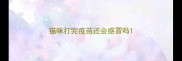 猫咪打完疫苗还会感冒吗