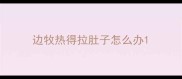 边牧热得拉肚子怎么办