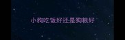 小狗吃饭好还是狗粮好
