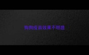 狗狗疫苗效果不明显