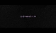 金毛生病吃什么好