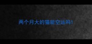 两个月大的猫能空运吗