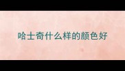 哈士奇什么样的颜色好