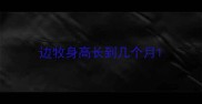 边牧身高长到几个月