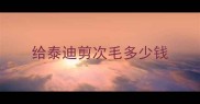 给泰迪剪次毛多少钱