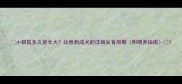 小银狐多久能长大幼崽到成犬的详细发育周期附喂养指南