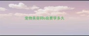 宠物美容师b级要学多久