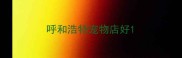 呼和浩特宠物店好