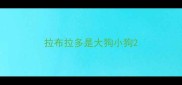 拉布拉多是大狗小狗