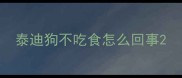 泰迪狗不吃食怎么回事