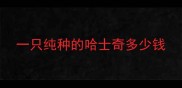 一只纯种的哈士奇多少钱