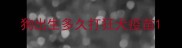 狗出生多久打狂犬疫苗