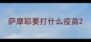 萨摩耶要打什么疫苗