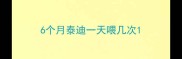6个月泰迪一天喂几次