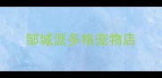 邹城派多格宠物店