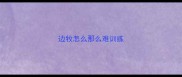 边牧怎么那么难训练