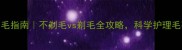 金毛夏天剃毛指南不剃毛vs剃毛全攻略科学护理毛孩子更健康
