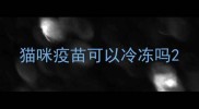 猫咪疫苗可以冷冻吗