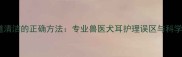 哈士奇耳道清洁的正确方法专业兽医犬耳护理误区与科学养护指南