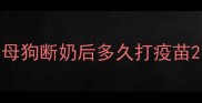母狗断奶后多久打疫苗