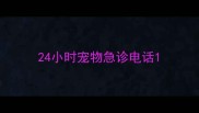24小时宠物急诊电话