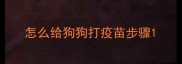 怎么给狗狗打疫苗步骤