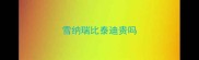 雪纳瑞比泰迪贵吗