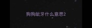 狗狗龇牙什么意思