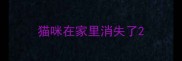 猫咪在家里消失了