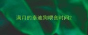 满月的泰迪狗喂食时间