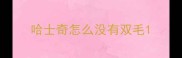 哈士奇怎么没有双毛