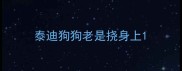 泰迪狗狗老是挠身上