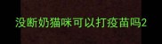 没断奶猫咪可以打疫苗吗