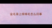 金毛身上痒掉毛怎么回事