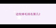 边牧掉毛排名第几