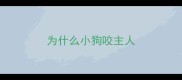 为什么小狗咬主人